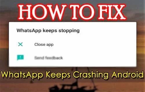 How to Fix WhatsApp Crashing